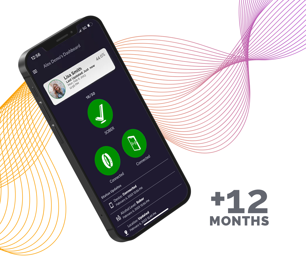 12 Month Basic Subscription - Summer 2025 Promotion