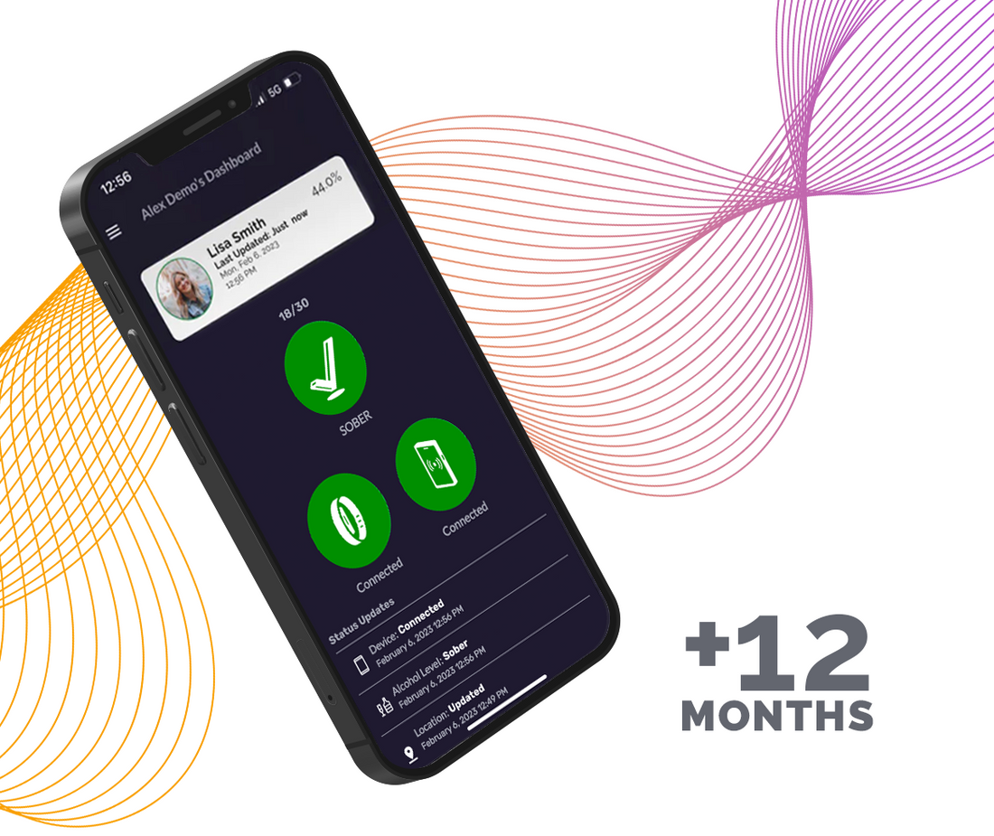 12 Month Basic Subscription - Summer 2025 Promotion