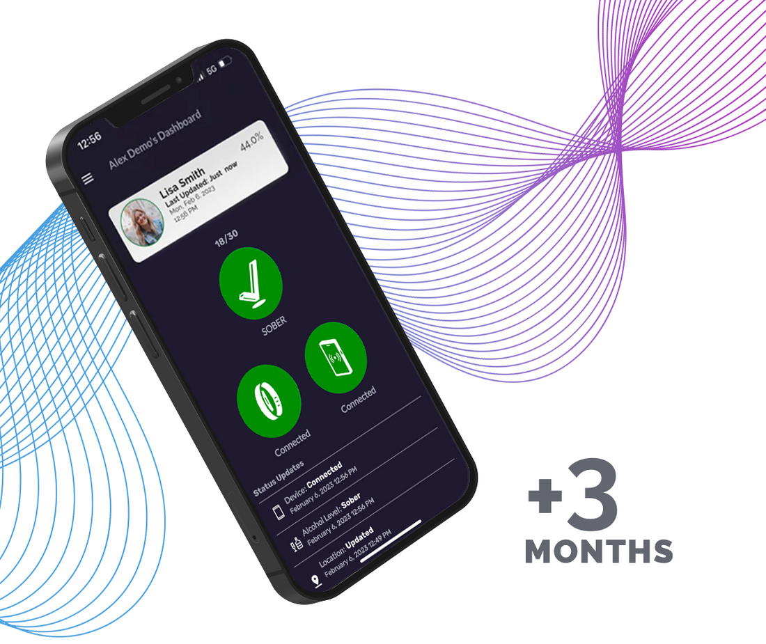 3 Month Basic Subscription - Summer 2025 Promotion