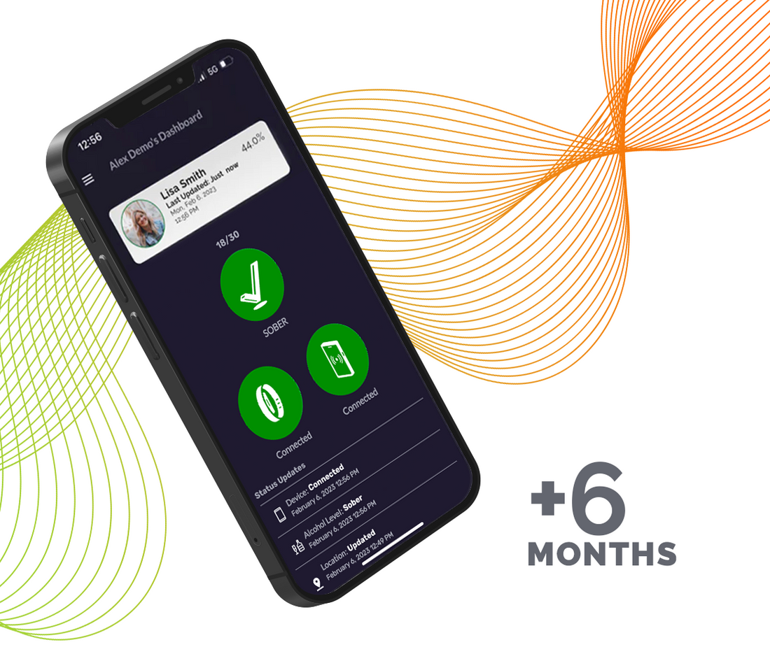 6 Month Basic Subscription - Summer 2025 Promotion